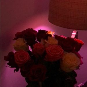 Meet your Posher, Tina